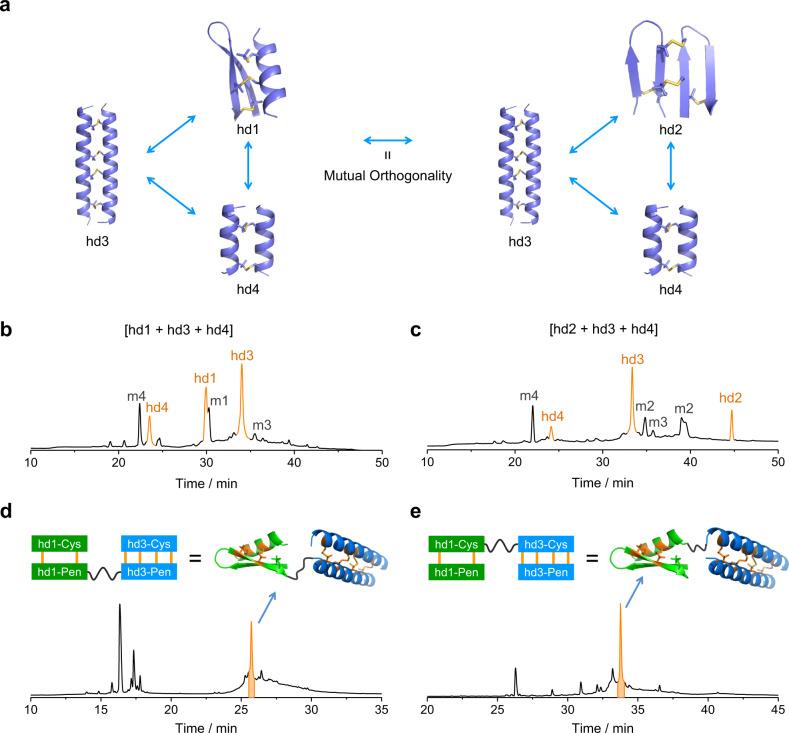 https://cdn.ncbi.nlm.nih.gov/pmc/blobs/b7e6/8941120/260c0d60eeef/41467_2022_29210_Fig4_HTML.jpg