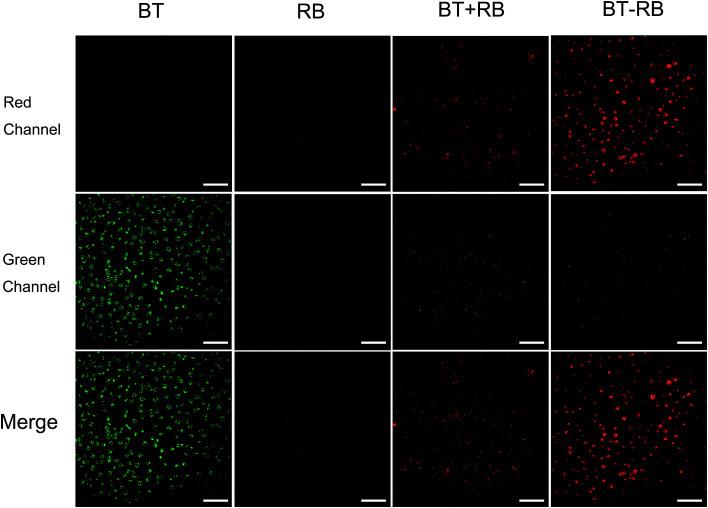 https://cdn.ncbi.nlm.nih.gov/pmc/blobs/b7e6/9061351/65c78cd0ffb1/c9ra00432g-f3.jpg
