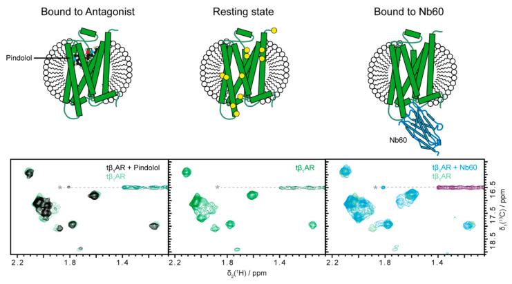 https://cdn.ncbi.nlm.nih.gov/pmc/blobs/b7e7/7767065/8c9d53ff252a/molecules-25-05984-g002.jpg