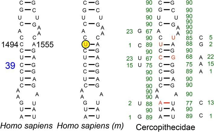 https://cdn.ncbi.nlm.nih.gov/pmc/blobs/b7e8/4294204/0a750dc32d32/fgene-05-00469-g0005.jpg