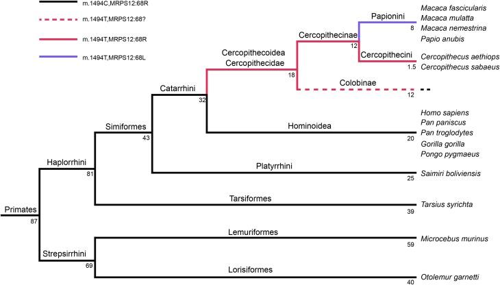 https://cdn.ncbi.nlm.nih.gov/pmc/blobs/b7e8/4294204/214066f35b54/fgene-05-00469-g0009.jpg