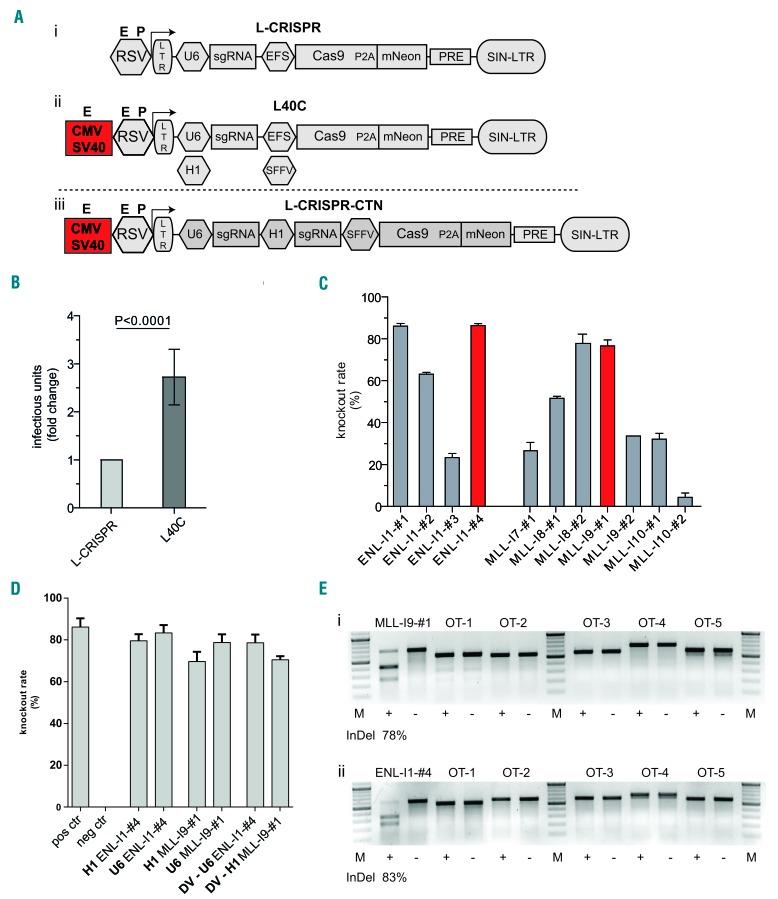 https://cdn.ncbi.nlm.nih.gov/pmc/blobs/b7e8/5685230/5841e2919945/1021558.fig1.jpg