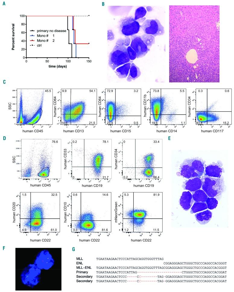 https://cdn.ncbi.nlm.nih.gov/pmc/blobs/b7e8/5685230/e5eecb20d118/1021558.fig4.jpg