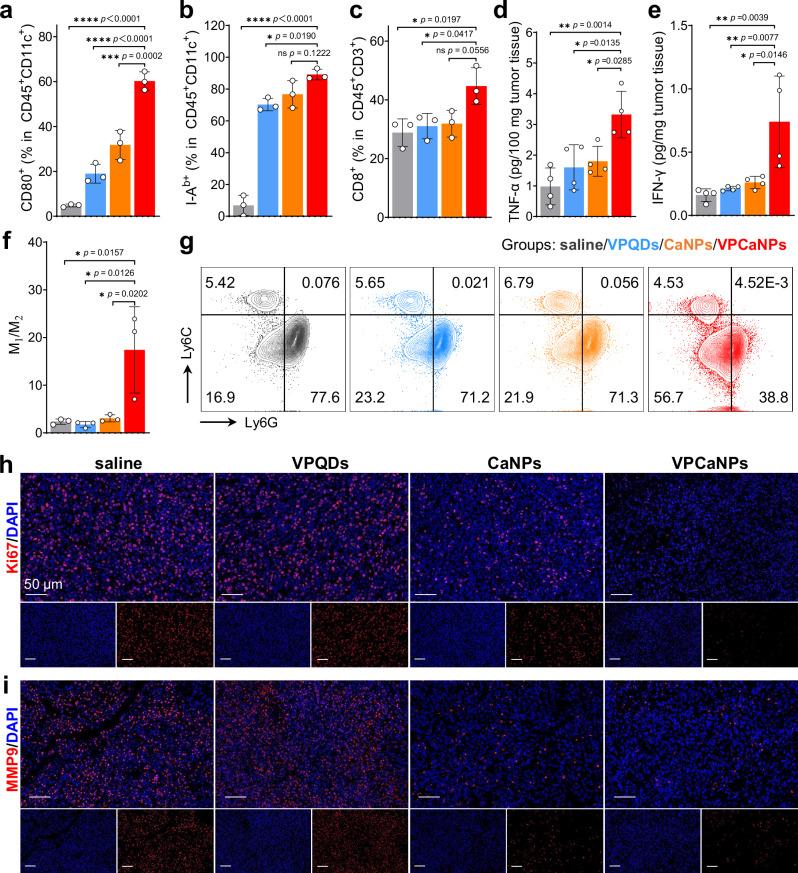 https://cdn.ncbi.nlm.nih.gov/pmc/blobs/b7ea/11310355/0805400babcc/41467_2024_50769_Fig8_HTML.jpg