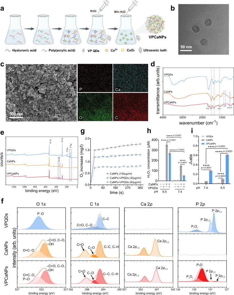 https://cdn.ncbi.nlm.nih.gov/pmc/blobs/b7ea/11310355/a0941db34cc5/41467_2024_50769_Fig4_HTML.jpg