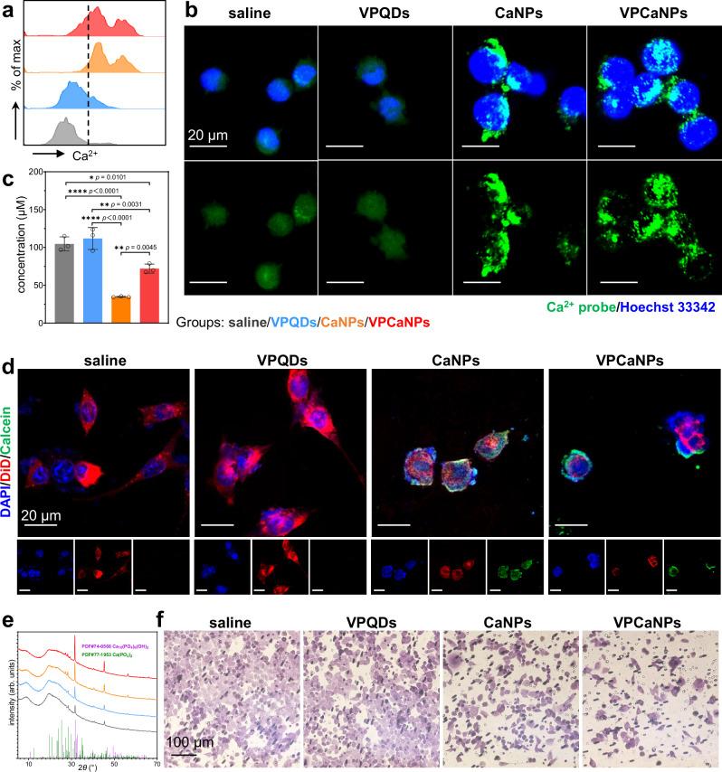 https://cdn.ncbi.nlm.nih.gov/pmc/blobs/b7ea/11310355/db5096cf4578/41467_2024_50769_Fig6_HTML.jpg