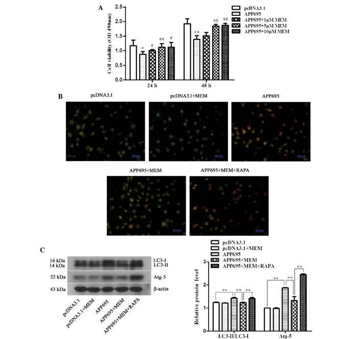 https://cdn.ncbi.nlm.nih.gov/pmc/blobs/b7eb/4626184/3b1a0c8e2af4/MMR-12-05-7615-g01.jpg