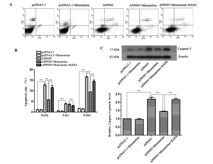 https://cdn.ncbi.nlm.nih.gov/pmc/blobs/b7eb/4626184/e1a78fad824f/MMR-12-05-7615-g02.jpg