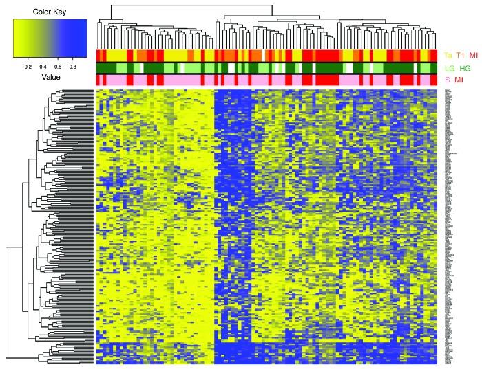 https://cdn.ncbi.nlm.nih.gov/pmc/blobs/b7ec/4063835/0378a5f8f250/epi-9-760-g2.jpg