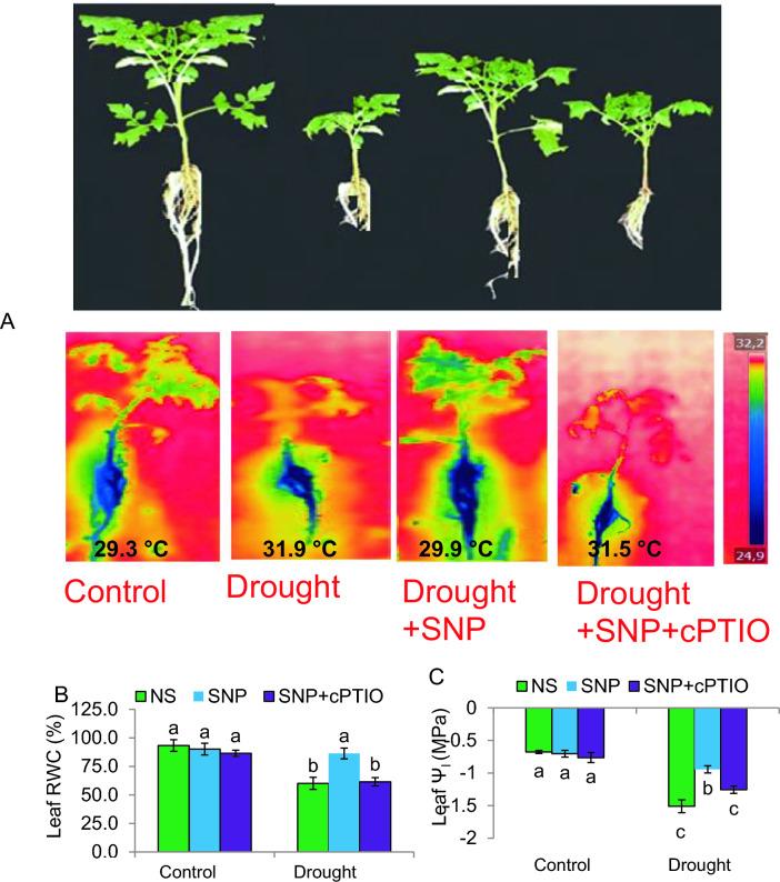 https://cdn.ncbi.nlm.nih.gov/pmc/blobs/b7ed/11133051/385d3d665d7a/299_2024_3238_Fig3_HTML.jpg