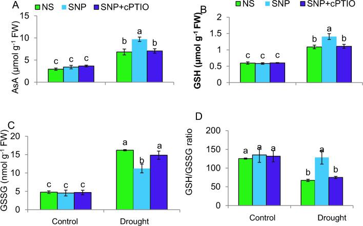 https://cdn.ncbi.nlm.nih.gov/pmc/blobs/b7ed/11133051/a86766e3a803/299_2024_3238_Fig6_HTML.jpg
