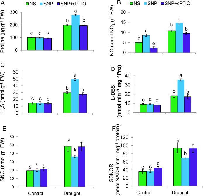 https://cdn.ncbi.nlm.nih.gov/pmc/blobs/b7ed/11133051/b2bddec6b0da/299_2024_3238_Fig4_HTML.jpg