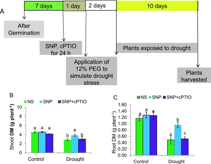 https://cdn.ncbi.nlm.nih.gov/pmc/blobs/b7ed/11133051/b7af830bb1df/299_2024_3238_Fig1_HTML.jpg