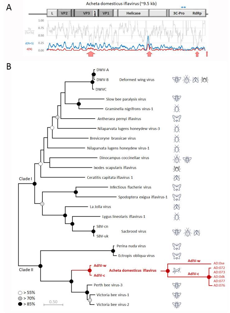 https://cdn.ncbi.nlm.nih.gov/pmc/blobs/b7f0/7996529/ee0367e3bfa0/viruses-13-00364-g002.jpg