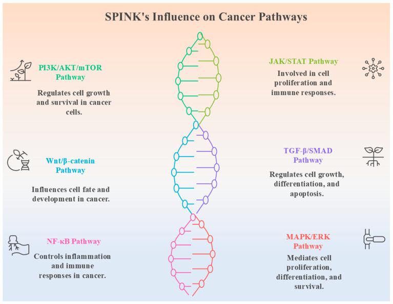 https://cdn.ncbi.nlm.nih.gov/pmc/blobs/b7f1/12389077/28c464f8a9ff/pharmaceuticals-18-01194-g006.jpg