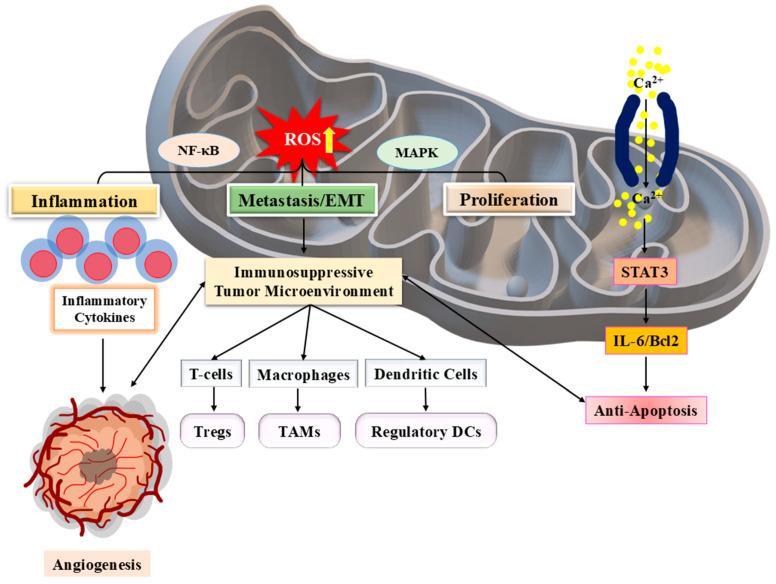 https://cdn.ncbi.nlm.nih.gov/pmc/blobs/b7f1/12389077/9276fb3f6b04/pharmaceuticals-18-01194-g002.jpg