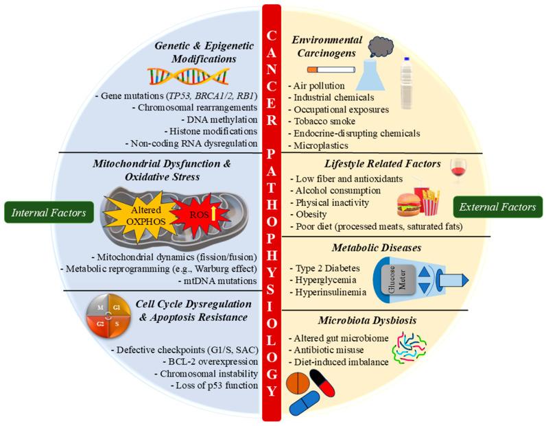 https://cdn.ncbi.nlm.nih.gov/pmc/blobs/b7f1/12389077/f3a242c1df73/pharmaceuticals-18-01194-g004.jpg