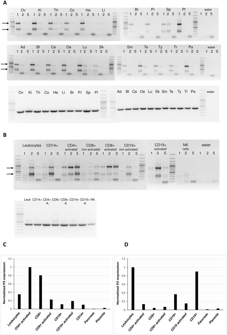 https://cdn.ncbi.nlm.nih.gov/pmc/blobs/b7f1/5619815/2b5eb3b00c80/pone.0185678.g001.jpg