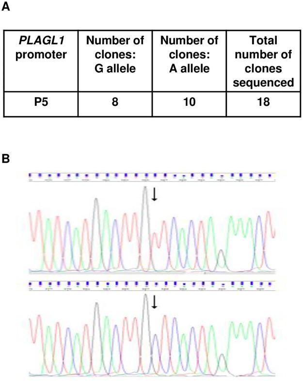 https://cdn.ncbi.nlm.nih.gov/pmc/blobs/b7f1/5619815/4711d8026547/pone.0185678.g005.jpg