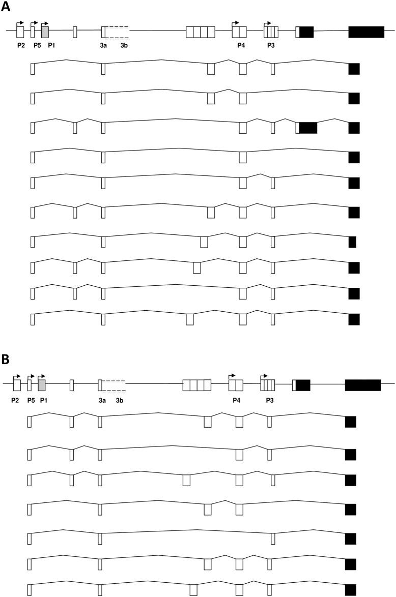 https://cdn.ncbi.nlm.nih.gov/pmc/blobs/b7f1/5619815/91d57f512061/pone.0185678.g002.jpg
