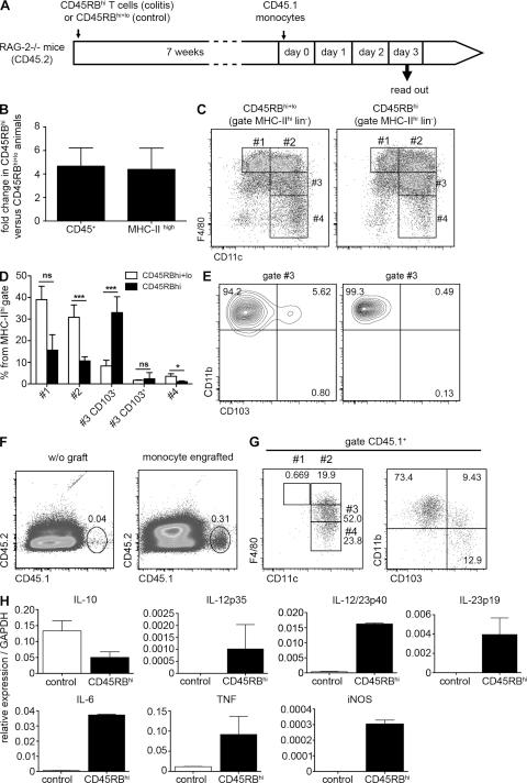 https://cdn.ncbi.nlm.nih.gov/pmc/blobs/b7f2/3260867/eb707122a6d6/JEM_20101387_Fig6.jpg