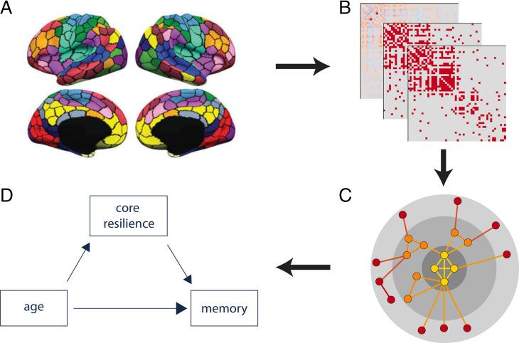 https://cdn.ncbi.nlm.nih.gov/pmc/blobs/b7f2/9636938/05993d108bef/pnas.2203682119fig01.jpg