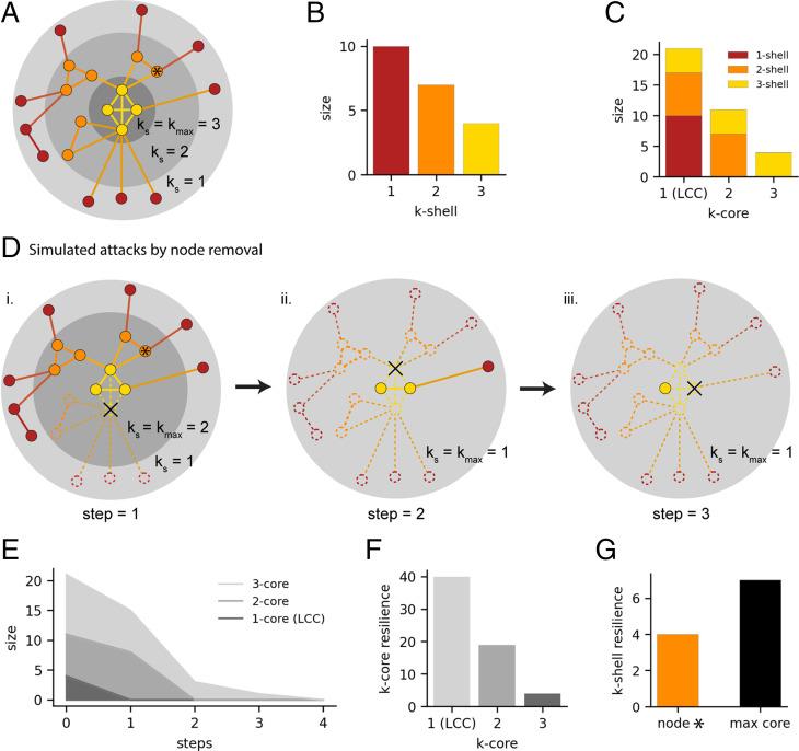 https://cdn.ncbi.nlm.nih.gov/pmc/blobs/b7f2/9636938/a4553576038c/pnas.2203682119fig02.jpg