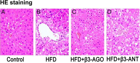 https://cdn.ncbi.nlm.nih.gov/pmc/blobs/b7f3/7275314/bafdc3b7b072/10020_2020_164_Fig2_HTML.jpg