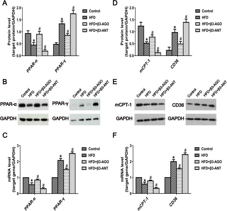 https://cdn.ncbi.nlm.nih.gov/pmc/blobs/b7f3/7275314/ea34d2b7a367/10020_2020_164_Fig4_HTML.jpg