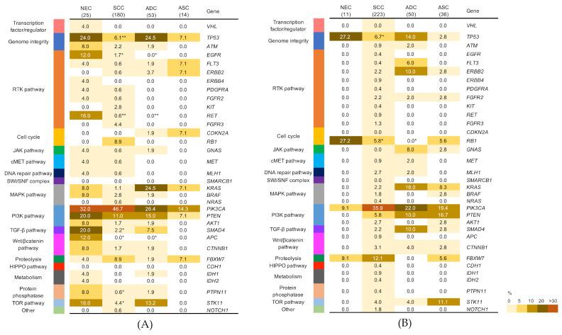 https://cdn.ncbi.nlm.nih.gov/pmc/blobs/b7f3/8001835/8fb6aedfce6a/cancers-13-01215-g002.jpg
