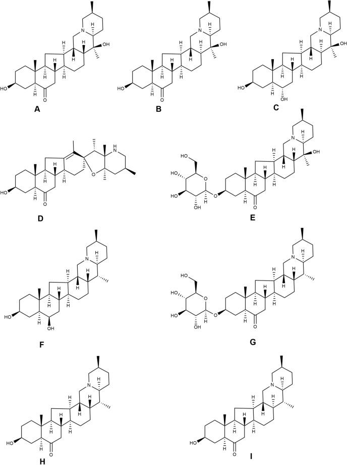 https://cdn.ncbi.nlm.nih.gov/pmc/blobs/b7f4/9932069/b67e296ae67b/41598_2023_29631_Fig1_HTML.jpg