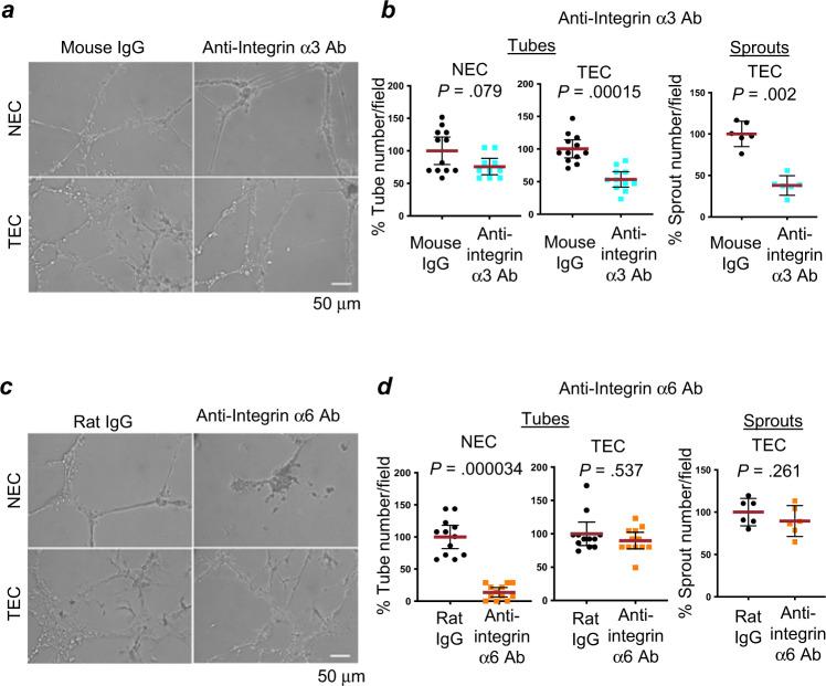 https://cdn.ncbi.nlm.nih.gov/pmc/blobs/b7f7/9314429/2407a6abcd98/41467_2022_31981_Fig3_HTML.jpg