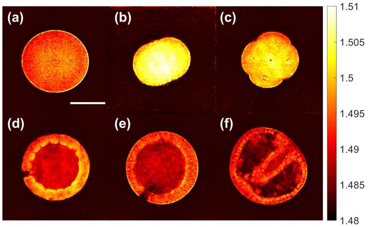 https://cdn.ncbi.nlm.nih.gov/pmc/blobs/b7f9/10255538/cab2cedb50e2/sensors-23-05164-g006.jpg