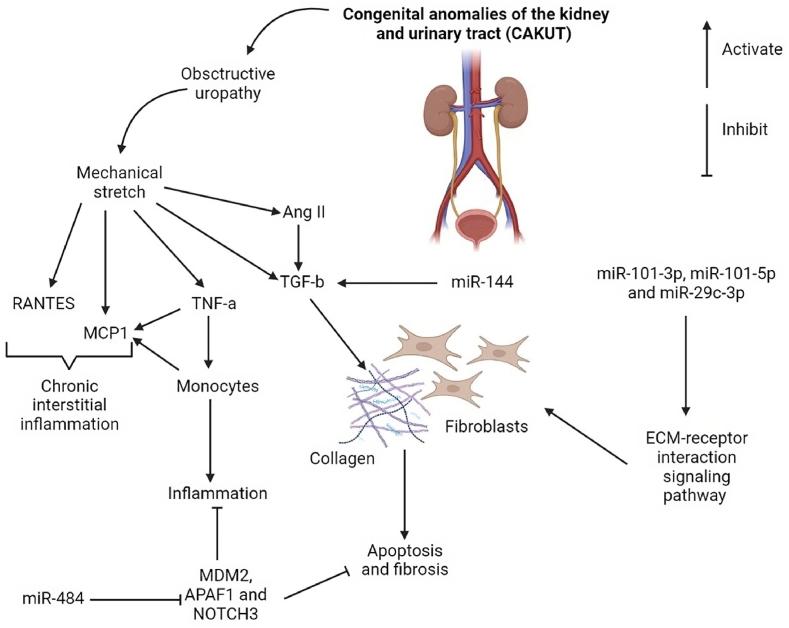 https://cdn.ncbi.nlm.nih.gov/pmc/blobs/b7f9/10480480/481d5ffe0c48/gr2.jpg