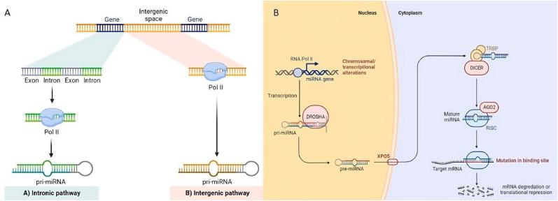 https://cdn.ncbi.nlm.nih.gov/pmc/blobs/b7f9/10480480/fcf711e503b5/gr1.jpg
