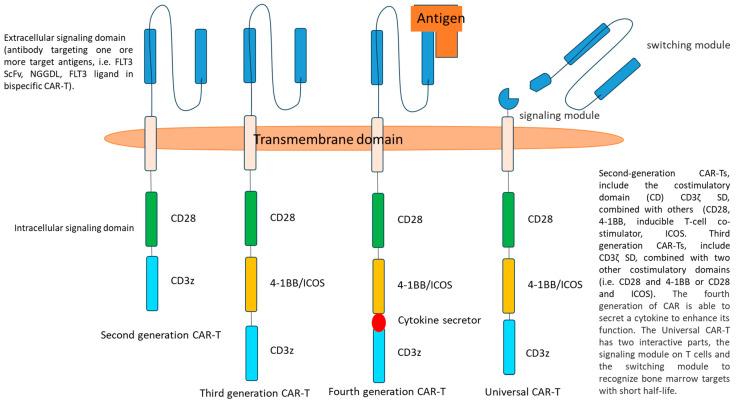 https://cdn.ncbi.nlm.nih.gov/pmc/blobs/b7fd/11119130/2553bccab00d/cancers-16-01819-g003.jpg