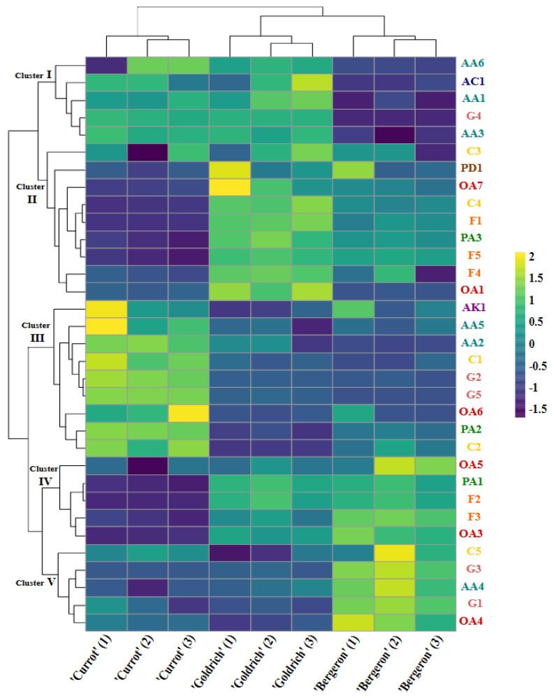 https://cdn.ncbi.nlm.nih.gov/pmc/blobs/b7fd/11990447/3982df59de0a/plants-14-01000-g002.jpg