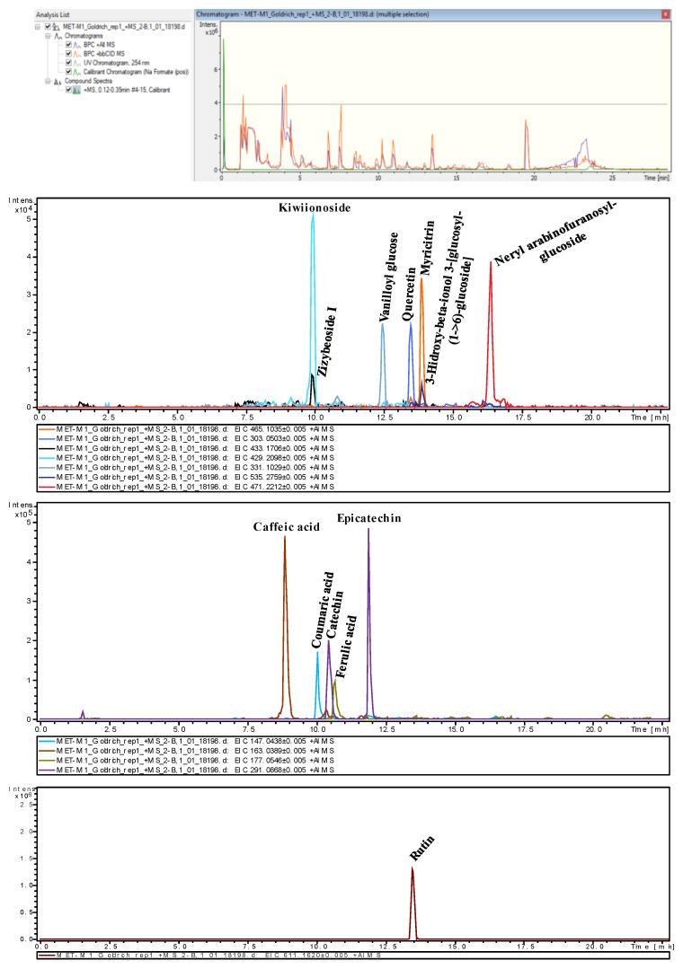 https://cdn.ncbi.nlm.nih.gov/pmc/blobs/b7fd/11990447/687b8f6f8d04/plants-14-01000-g003.jpg