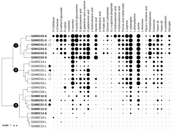 https://cdn.ncbi.nlm.nih.gov/pmc/blobs/b7fd/6278465/3a3e3cb89832/molecules-23-02746-g002.jpg