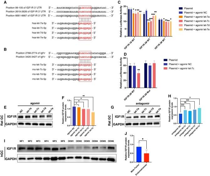 https://cdn.ncbi.nlm.nih.gov/pmc/blobs/b7ff/11700901/26c02f6215a8/deae247f4.jpg