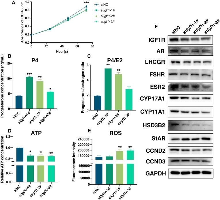 https://cdn.ncbi.nlm.nih.gov/pmc/blobs/b7ff/11700901/6504396026bd/deae247f5.jpg