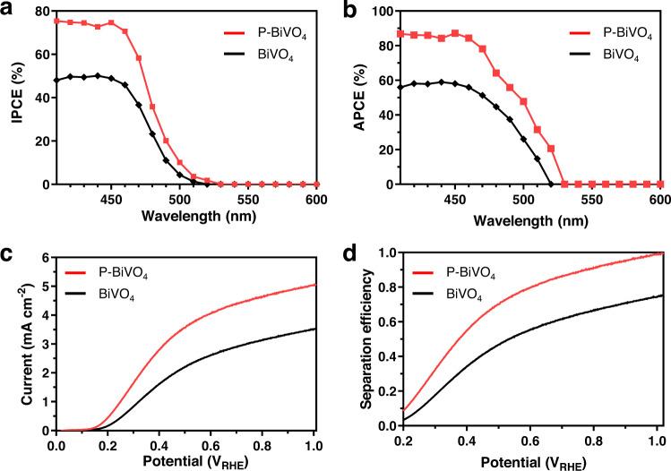 https://cdn.ncbi.nlm.nih.gov/pmc/blobs/b802/9585101/127a239948a3/41467_2022_33905_Fig3_HTML.jpg