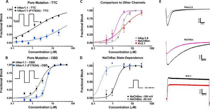 https://cdn.ncbi.nlm.nih.gov/pmc/blobs/b804/6204917/3bd2cc11d293/zbc0451895700005.jpg