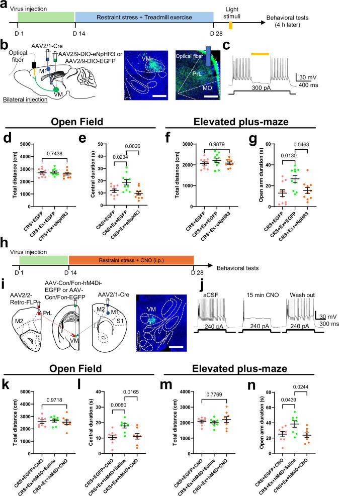 https://cdn.ncbi.nlm.nih.gov/pmc/blobs/b806/11754434/2dd4fc4ea64d/41467_2025_56258_Fig6_HTML.jpg