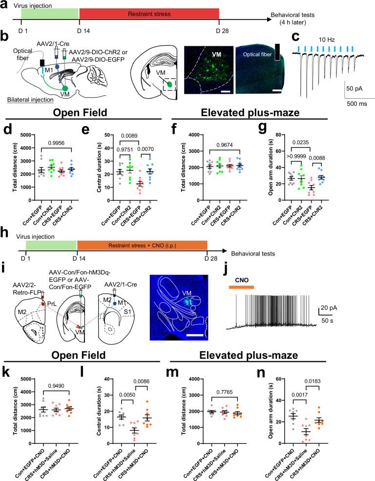https://cdn.ncbi.nlm.nih.gov/pmc/blobs/b806/11754434/4354f627212f/41467_2025_56258_Fig7_HTML.jpg