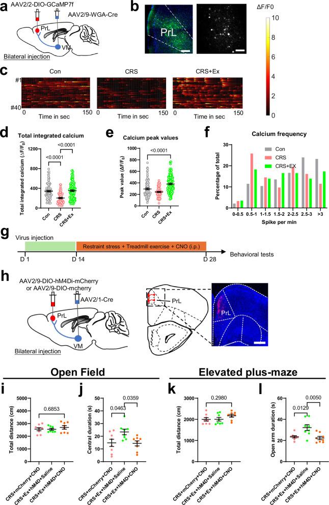 https://cdn.ncbi.nlm.nih.gov/pmc/blobs/b806/11754434/7bd61e7cd045/41467_2025_56258_Fig2_HTML.jpg