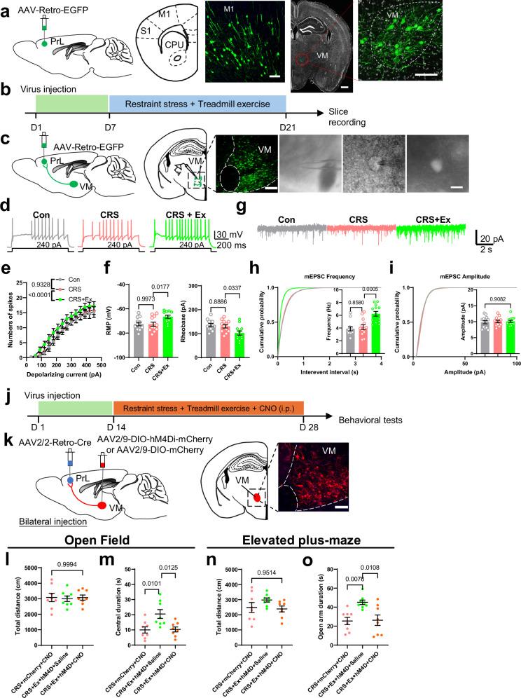 https://cdn.ncbi.nlm.nih.gov/pmc/blobs/b806/11754434/df10f37809b2/41467_2025_56258_Fig1_HTML.jpg