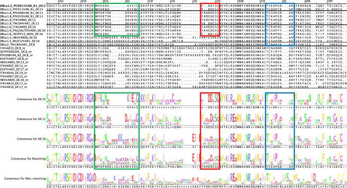 https://cdn.ncbi.nlm.nih.gov/pmc/blobs/b806/11759366/d924b0a3ec39/ppat.1012434.g011.jpg