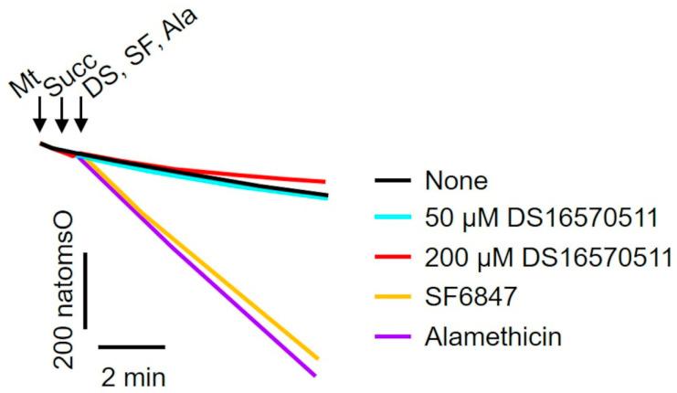 https://cdn.ncbi.nlm.nih.gov/pmc/blobs/b806/11942279/329f5a530e76/ijms-26-02670-g004.jpg