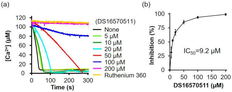https://cdn.ncbi.nlm.nih.gov/pmc/blobs/b806/11942279/ff89a4604a2e/ijms-26-02670-g002.jpg